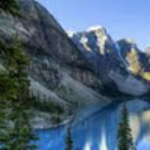 Meet your Posher, Rory